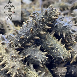 ���B피���ɺ���50g���]��S��Ȼ