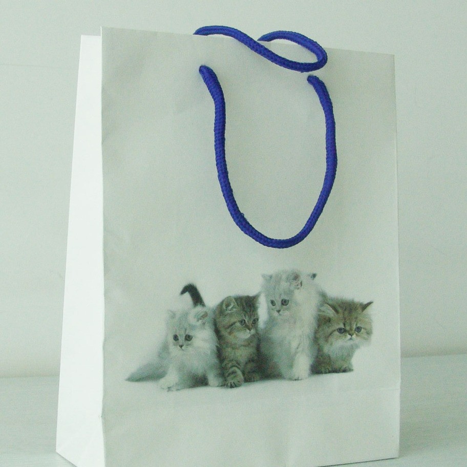 浙江省生产厂家可按要求制作210g白卡纸覆膜自动手提袋纸袋子