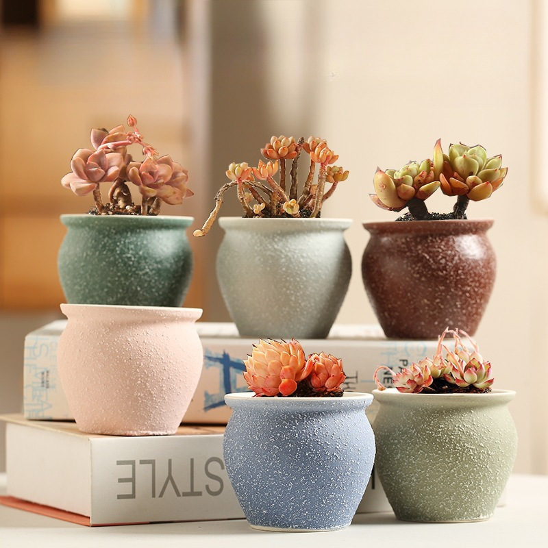 # Succulent Flower Pot Ceramic Personalized Thumb Pot Small Simple Stoneware Painted Breathable Flow