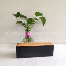 Sɳlľ_һ_Ƥɳl_ˇɳl__Ҿ_