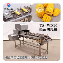 SҹжΙC zϹJSSnӿи