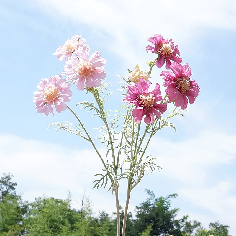 Single -branched 4 -headed velvet peak chrysanthemum home decoration…