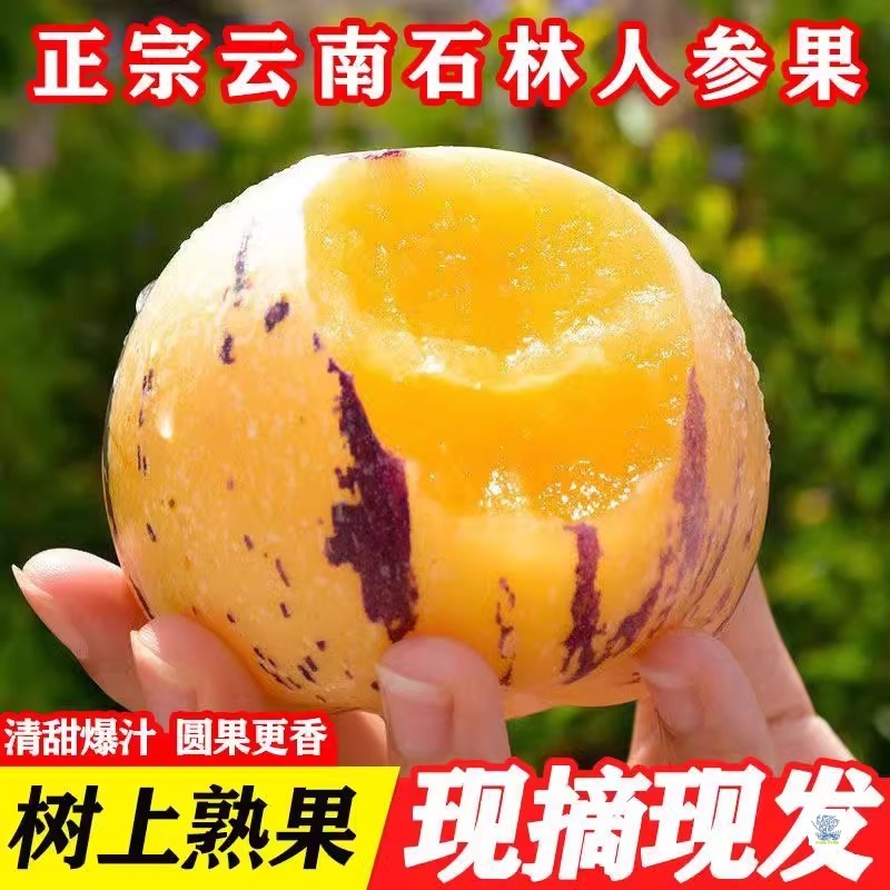 Authentic Yunnan Shilin ginseng fruit fresh fruit tree-ripened yellow flesh round fruit seasonal freshly picked and shipped whole box free shipping