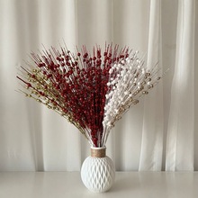 �羳؛Դ�}�Q�b�����12�����۴��}�Q������}�Q�������t���廨