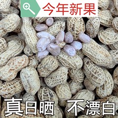 塩漬け乾燥茹で落花生、天日干しオリジナル白天日塩味、殻付き天日干し、広龍岩落花生スナック