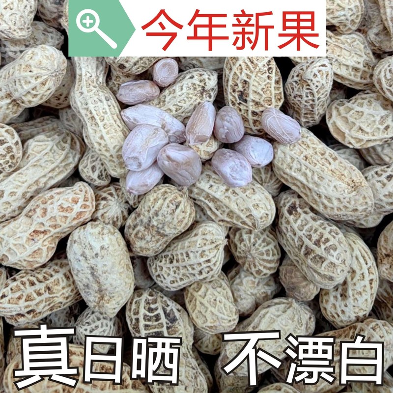 塩漬け乾燥茹で落花生、天日干しオリジナル白天日塩味、殻付き天日干し、広龍岩落花生スナック|undefined