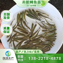  ֱ V~ tV~ ܶBֳ ȫl؛