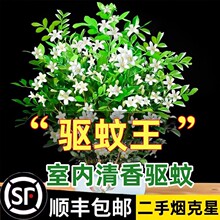 ������þ��������Ի����҃�����ò�ֲ����������Ϙ��辰�Gֲ