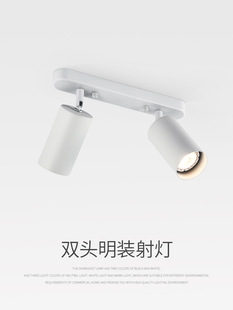 明装射灯led天花灯家用吸顶筒灯客厅无主灯过道灯长条轨道灯聚光-阿里巴巴