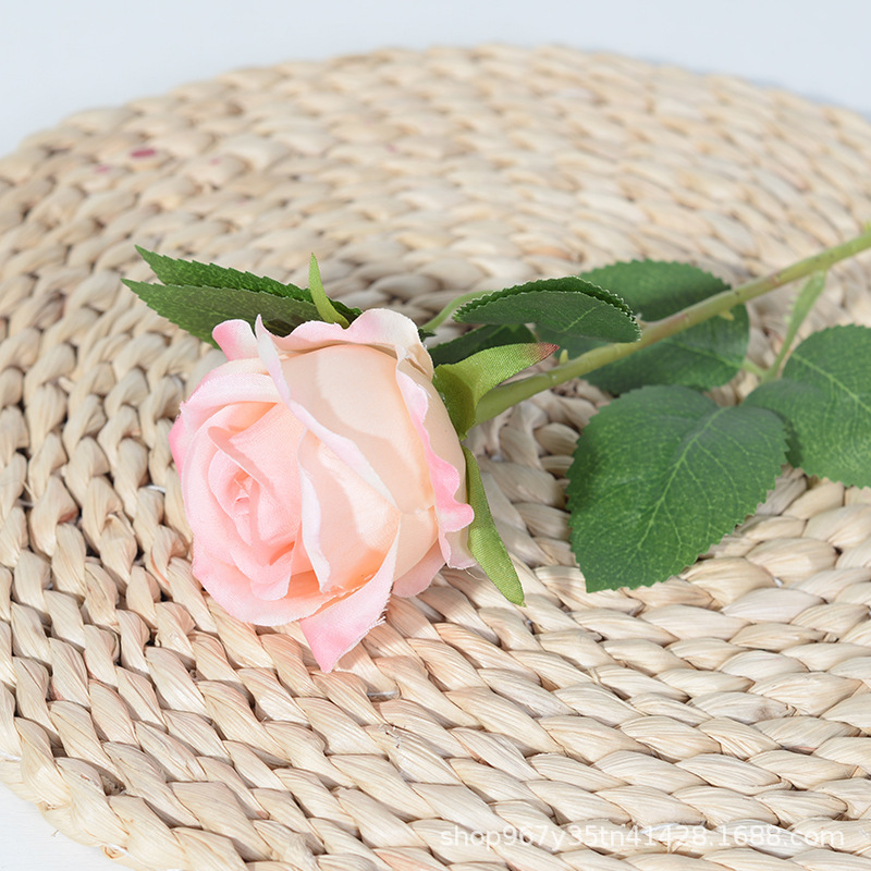 Silk Cloth Powder Champagne