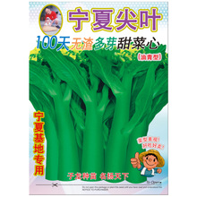 �T�����N�繫˾ֱ���������߲˷N�� ���ļ��~100��o����ѿ�����