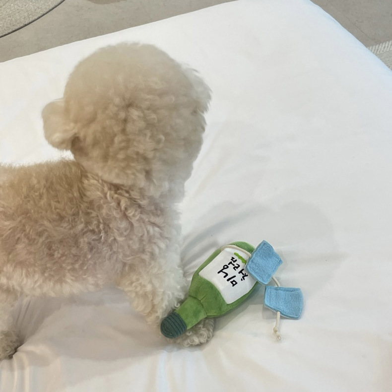 반려동물들은 이를 갈고, 씹고, 짖고, 귀여운 술병은, 소리를 내고, 음식을 숨기고, 냄새를 맡고, 장난감, 가시공, 비숑베어, 테디아마존