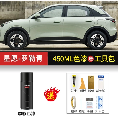 accessories car paint, Avtomobil boya qələmləri - star-wishbasil-green450ml-paint-tool-kit