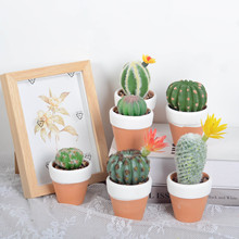 ���������Ʒ�������ɳĮ�Gֲ��������������l�Ҿ��k��������[��