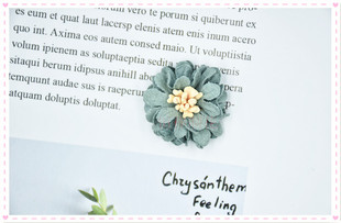 ���ͻ�ñ��Ь��Ƥ�ﳬ�w����DIY����С���o���Ʒ������l