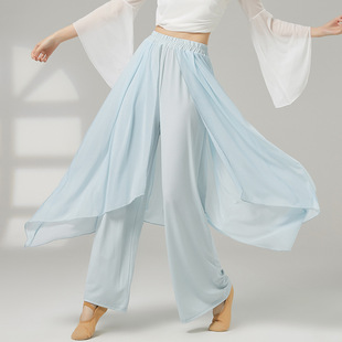 Classical Dance Practice Clothes, Women's Pants, Elegant Wide-Leg Pants, Adult Dance Clothes, Modern Dance Mesh Splicing Practice Pants