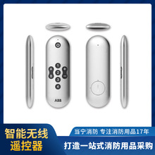 当宁技术 ABB智能家居 i-家爱家无线遥控器银色Z3410-S正品批发