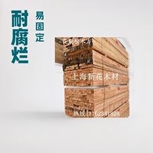 ���B���̌��÷�ľ  ���~�ɷ�ľ �����ɷ�ľ ���Bľ�� ���x��ľ��