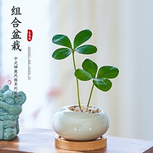 ī�����F�����~���\��С���ԾGֲ�҃��k��������ֲ�������_�h�ɻ�