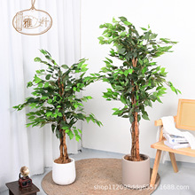 �羳����С�Ř����Gֲ�����Դ��Ϳ͏d�b[���҃��Ř�٘��쾰