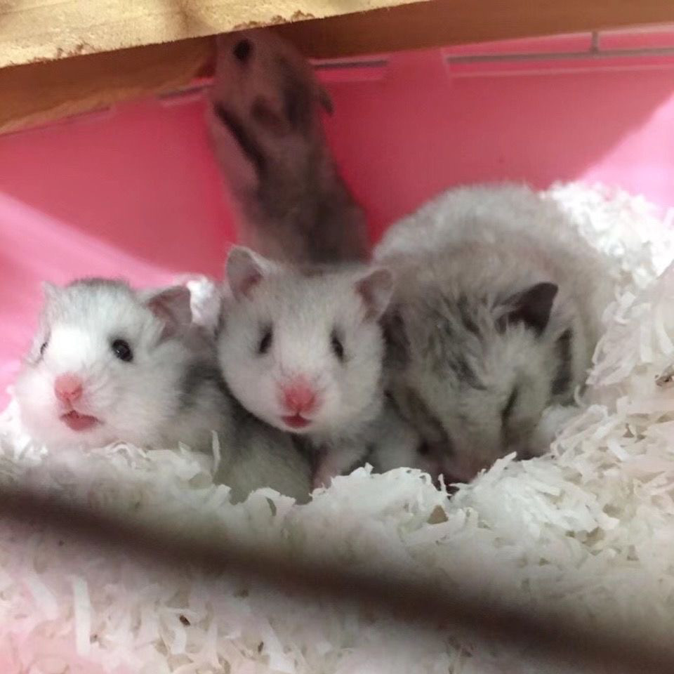 d8df1cf2-3820-42ff-afd0-e69f193e1be5.jpe