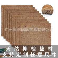爬宠箱垫子用品守宫椰棕垫材丝宠物活体造景垫爬虫龟饲养箱椰丝