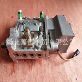 康明斯4BTA3.9-G2电调喷油泵总成4939773