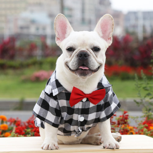 Dog Plaid Shirt Suit Wedding Dress French Bulldog Small, Medium and Large Dog Pet Clothes Cat Supplies