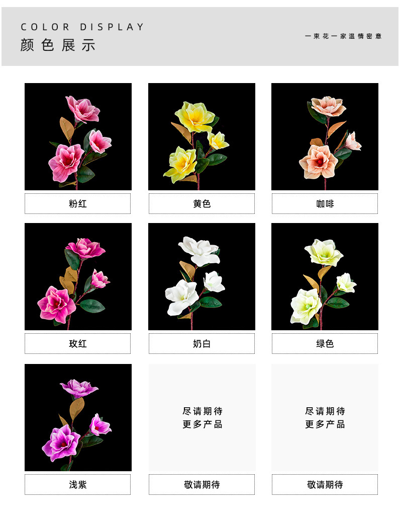 昌誉详情_05