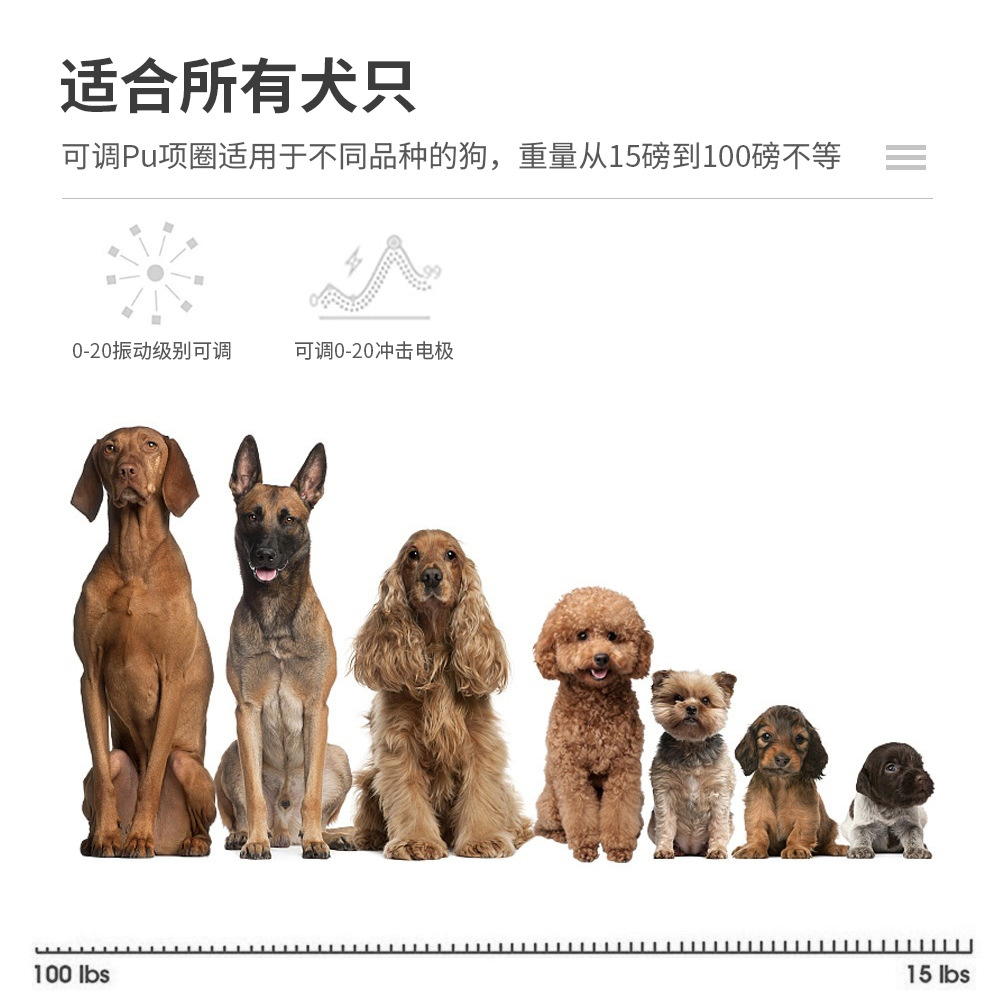 详情 (7).jpg