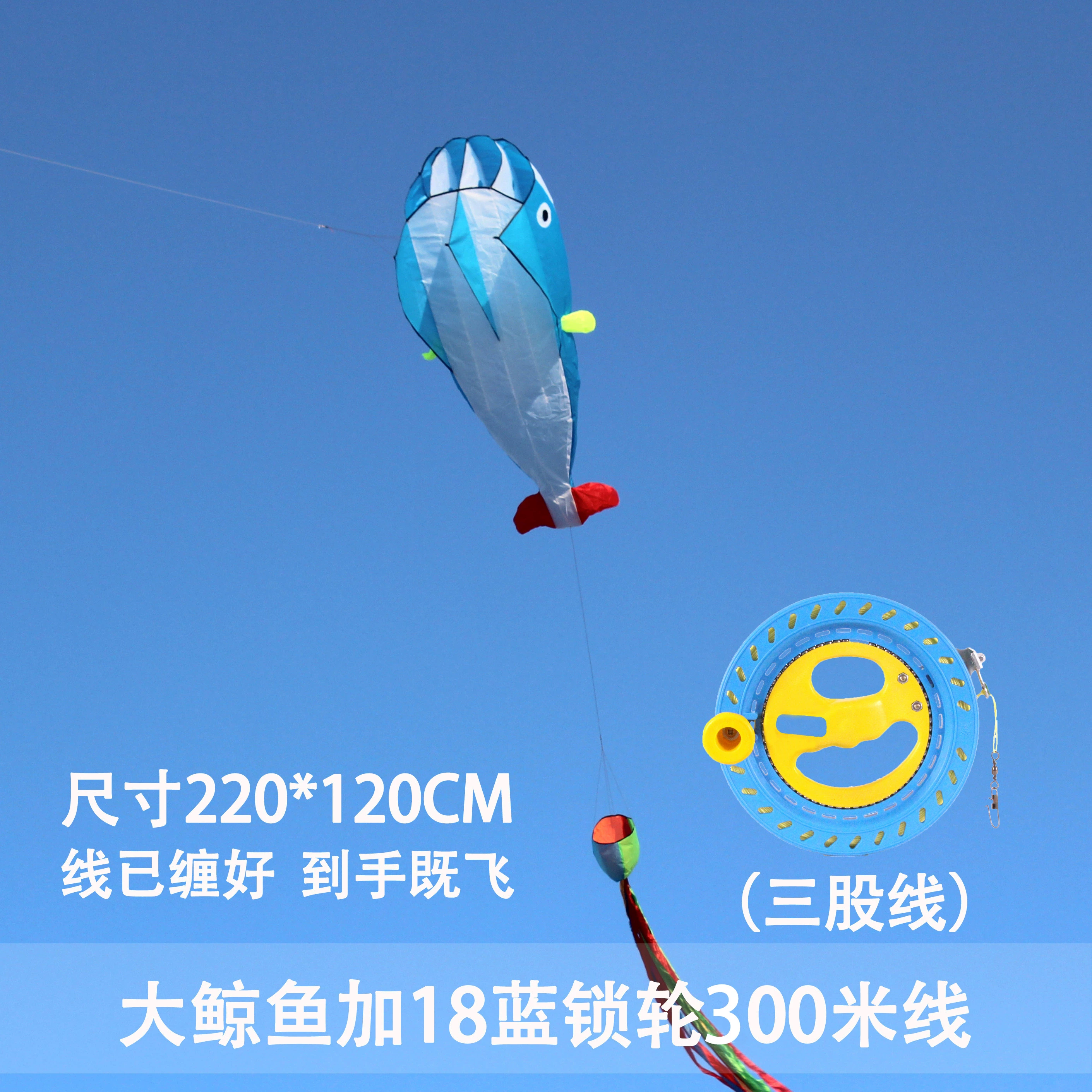 Kite for adults