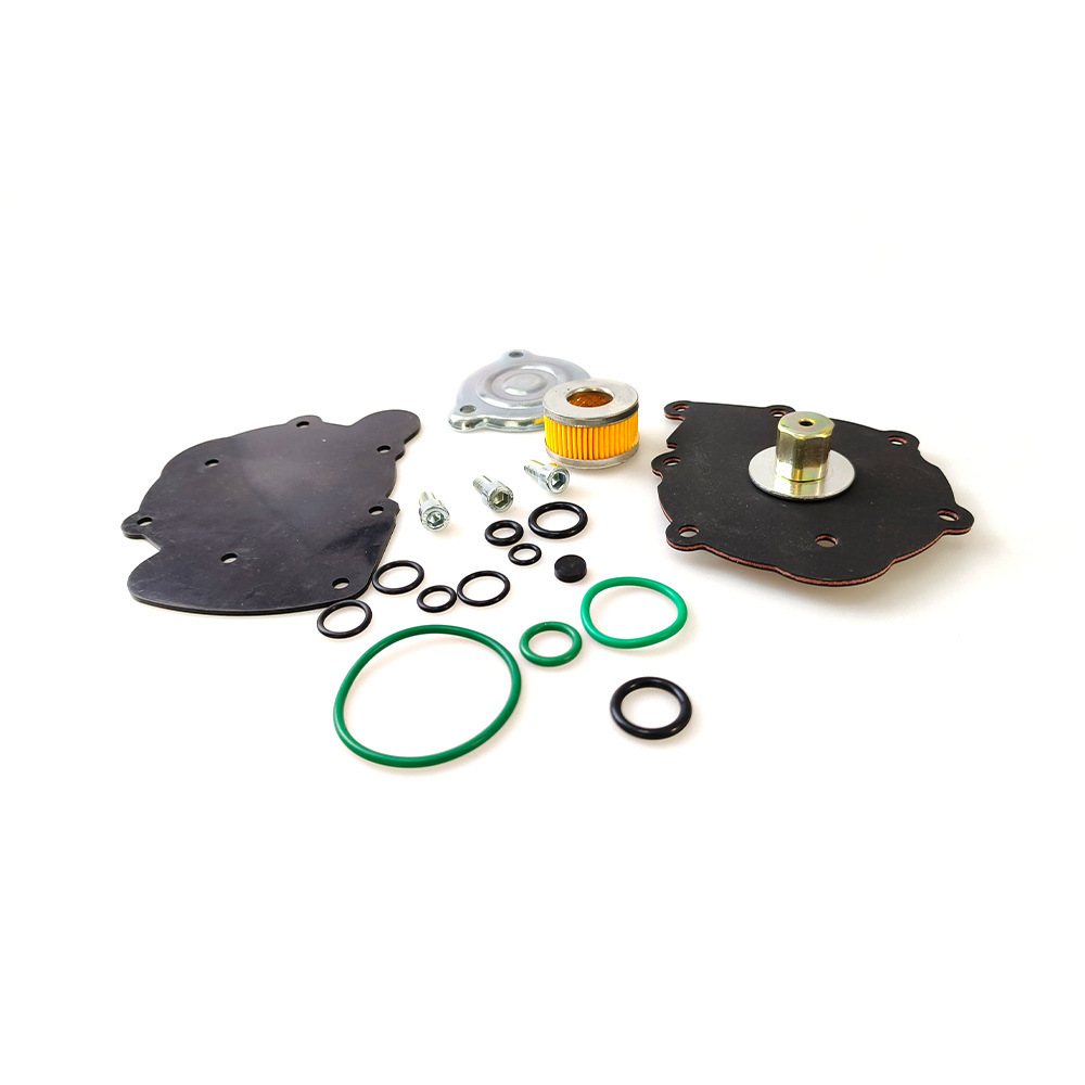 Lpg/Cng Car Oil to Gas At09 Nordic Repair Kit Modified Maintenance Spare Gas Car Accessories