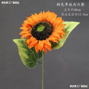 ��ɫ���滨��c��ˇ��ɫ������Y���b���·�����Ź��T������