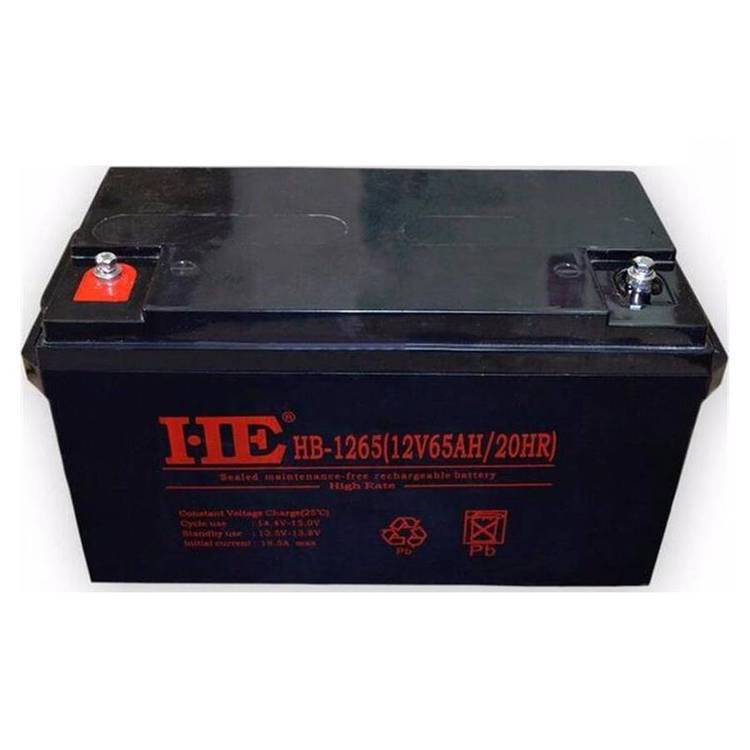 HE蓄电池HB-1265 12V65AH/20HR 仪器UPS电源配套