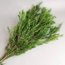 ��Ϲ��S���l����ǧ�ӽ��������rǧ�ӽ��c���c�b���������