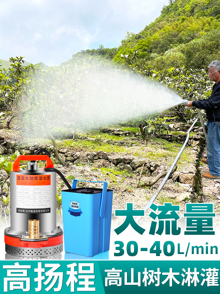 充电式抽水泵浇菜户外农用灌溉抗旱浇地神器抽水机高压直流潜水泵