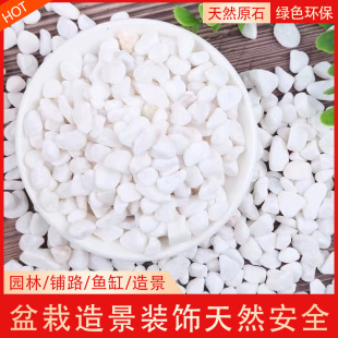 ��Ȼ��ʯ��Сʯ�ӑ���ͥԺ�쾰����ʯ�·���辰�~���껨ʯ�Z��ʯ