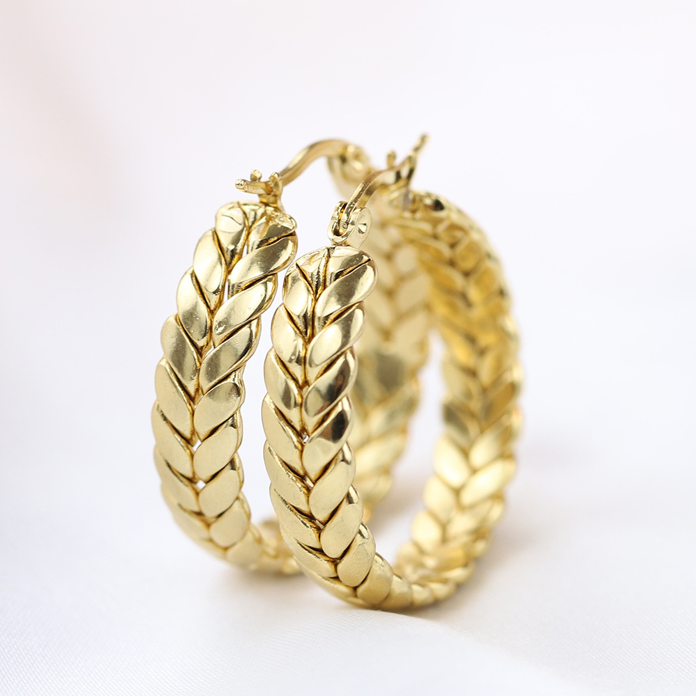 Casual Grain Titanium Steel Plating Earrings 1 Pair
