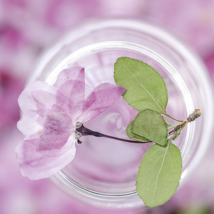 ���Ļ� �ɻ�����ֲ��˱�diy�ֹ����z�֙C����޹Ϟ�TϞѺ������