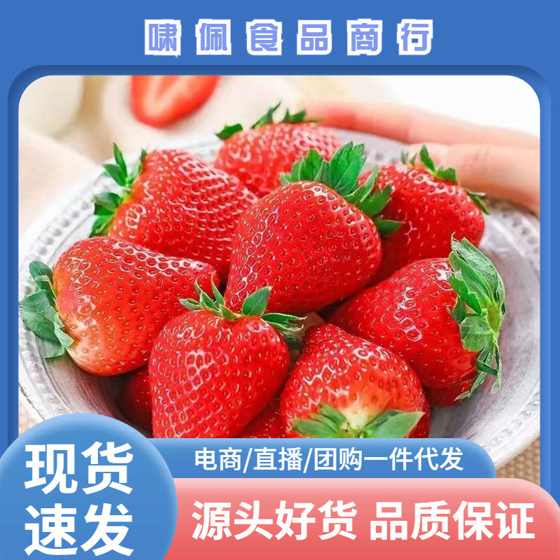 【Dandong Jiujiu Strawberries】Directly Shipped from the Place of Origin, Fresh Fruit Wholesale, One-Piece Dropshipping, Liaoning First-Grade Quality 【Dandong Jiujiu Strawberries】Directly Shipped from the Place of Origin, Fresh Fruit Wholesale, One-Piece Dropshipping, Liaoning First-Grade Quality