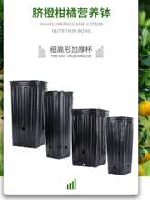 Ě����I�B�������跽�ڠI�B�����籭���������������Ӻ������