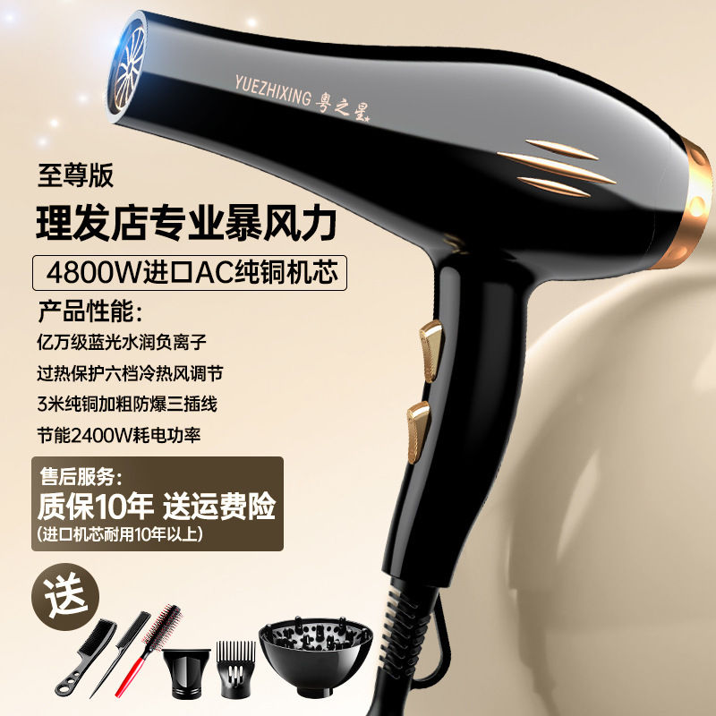 メーカー卸売ドライヤーハイパワーブルーライトマイナスイオンドライヤー家庭用ヘアサロン速乾冷熱風ドライヤー|undefined