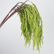 ����Gֲ��횲ݴ�������ɭϵ��c΢���^�쾰��ֲ������b�ëë�x