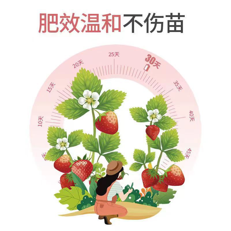 Strawberry fertilizer, special fertilizer to promote flowering and fruiting, rooting fertilizer for potted plants, organic balanced fertilizer, calcium fertilizer, compound fertilizer wholesale