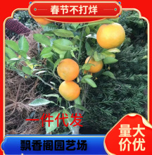 ���Ә���ɳ�ǽۘ��ĕ�ɰ�ǽۘ������ӟo�џo�˼޽ӹ�����̽���