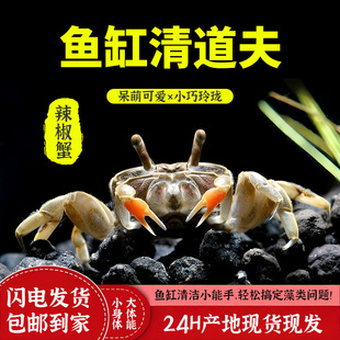 ��������з�~���^�p����С�з������B��ˮ���������r���Bз