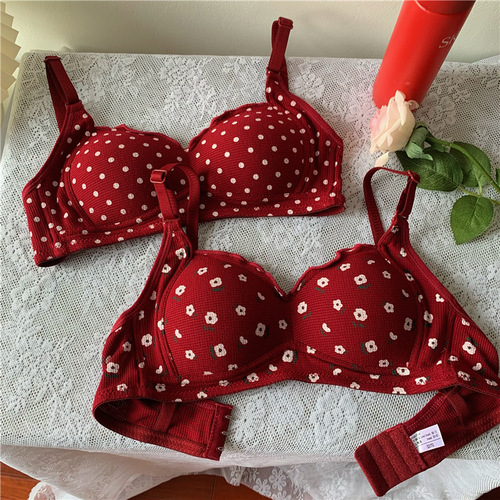 Soft and waxy girl stunner, sweet, small breasts, push-up bra, no wires, comfortable, comfortable bra set for the year of your birth year