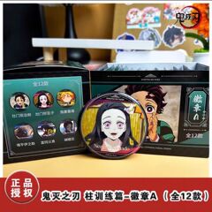 【正版官谷】鬼灭之刃 柱训练篇 徽章A 吧唧 动漫周边 盲盒