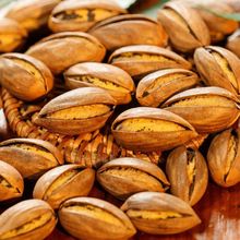 �������2024���T���خa�Թ������_���������؛��������l���l