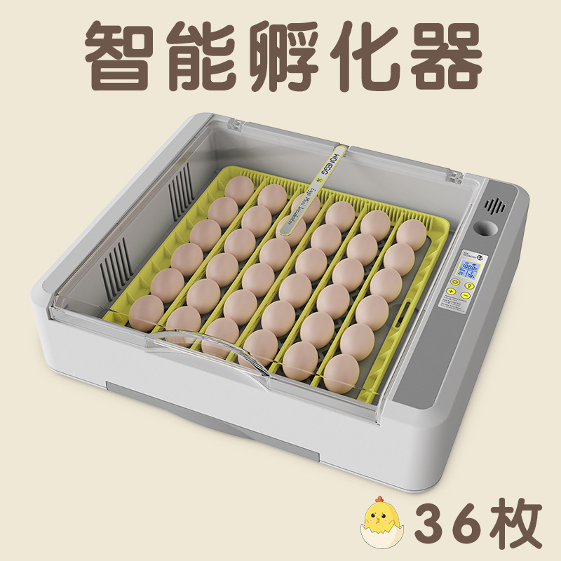 新型国境を越えたアマゾン全自動小型知能電気家庭用鶏鴨ガチョウ恒温孵化器孵化器|undefined